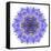 Blue Cornflower Mandala Flower Kaleidoscope-tr3gi-Framed Stretched Canvas