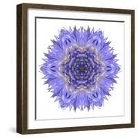 Blue Cornflower Mandala Flower Kaleidoscope-tr3gi-Framed Art Print