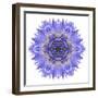 Blue Cornflower Mandala Flower Kaleidoscope-tr3gi-Framed Art Print