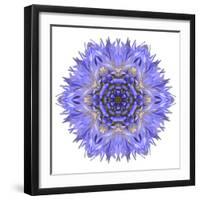 Blue Cornflower Mandala Flower Kaleidoscope-tr3gi-Framed Art Print