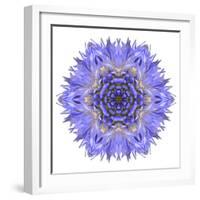 Blue Cornflower Mandala Flower Kaleidoscope-tr3gi-Framed Art Print