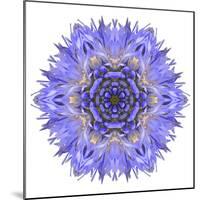 Blue Cornflower Mandala Flower Kaleidoscope-tr3gi-Mounted Art Print