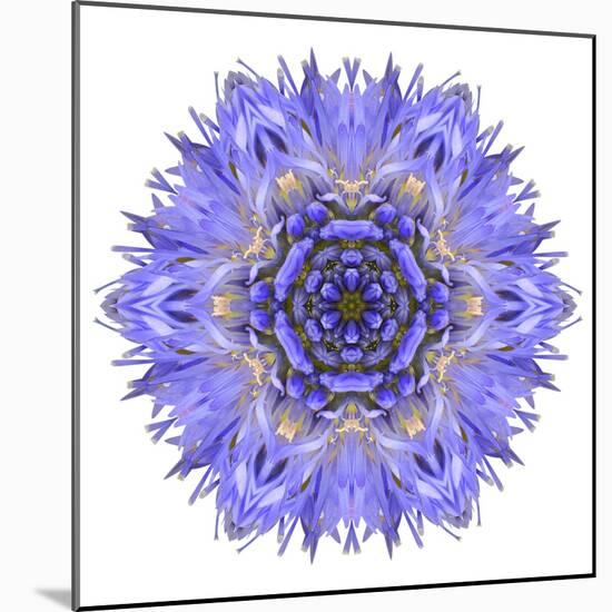 Blue Cornflower Mandala Flower Kaleidoscope-tr3gi-Mounted Art Print