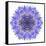 Blue Cornflower Mandala Flower Kaleidoscope-tr3gi-Framed Stretched Canvas