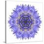 Blue Cornflower Mandala Flower Kaleidoscope-tr3gi-Stretched Canvas