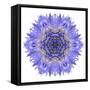 Blue Cornflower Mandala Flower Kaleidoscope-tr3gi-Framed Stretched Canvas