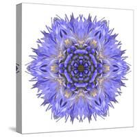 Blue Cornflower Mandala Flower Kaleidoscope-tr3gi-Stretched Canvas