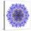 Blue Cornflower Mandala Flower Kaleidoscope-tr3gi-Stretched Canvas