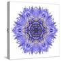 Blue Cornflower Mandala Flower Kaleidoscope-tr3gi-Stretched Canvas