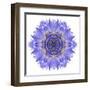 Blue Cornflower Mandala Flower Kaleidoscope-tr3gi-Framed Art Print