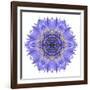 Blue Cornflower Mandala Flower Kaleidoscope-tr3gi-Framed Art Print
