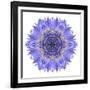 Blue Cornflower Mandala Flower Kaleidoscope-tr3gi-Framed Art Print