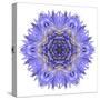 Blue Cornflower Mandala Flower Kaleidoscope-tr3gi-Stretched Canvas