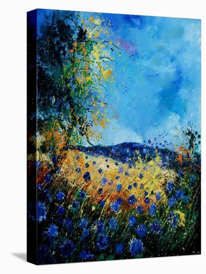 Blue Cornflowers 4505072-Pol Ledent-Stretched Canvas