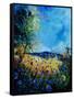 Blue Cornflowers 4505072-Pol Ledent-Framed Stretched Canvas