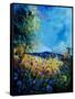 Blue Cornflowers 4505072-Pol Ledent-Framed Stretched Canvas