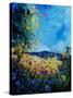 Blue Cornflowers 4505072-Pol Ledent-Stretched Canvas