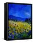 Blue Cornflowers 4550-Pol Ledent-Framed Stretched Canvas