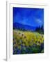 Blue Cornflowers 4550-Pol Ledent-Framed Art Print