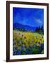 Blue Cornflowers 4550-Pol Ledent-Framed Art Print