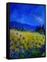 Blue Cornflowers 4550-Pol Ledent-Framed Stretched Canvas