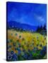 Blue Cornflowers 4550-Pol Ledent-Stretched Canvas