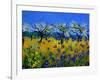 Blue Cornflowers 545130-Pol Ledent-Framed Art Print