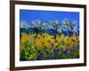 Blue Cornflowers 545130-Pol Ledent-Framed Art Print