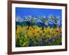 Blue Cornflowers 545130-Pol Ledent-Framed Art Print