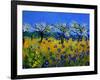 Blue Cornflowers 545130-Pol Ledent-Framed Art Print