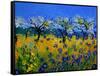 Blue Cornflowers 545130-Pol Ledent-Framed Stretched Canvas