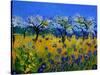 Blue Cornflowers 545130-Pol Ledent-Stretched Canvas
