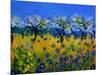 Blue Cornflowers 545130-Pol Ledent-Mounted Art Print