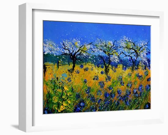 Blue Cornflowers 545130-Pol Ledent-Framed Art Print