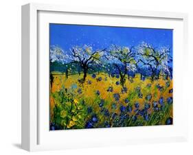 Blue Cornflowers 545130-Pol Ledent-Framed Art Print