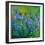 Blue Cornflowers 555160-Pol Ledent-Framed Art Print