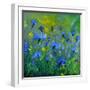 Blue Cornflowers 555160-Pol Ledent-Framed Art Print