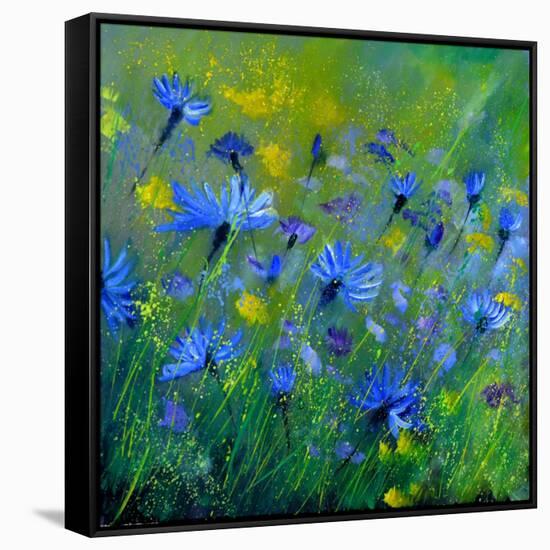 Blue Cornflowers 555160-Pol Ledent-Framed Stretched Canvas