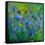 Blue Cornflowers 555160-Pol Ledent-Framed Stretched Canvas