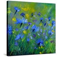 Blue Cornflowers 555160-Pol Ledent-Stretched Canvas
