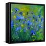 Blue Cornflowers 555160-Pol Ledent-Framed Stretched Canvas