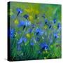 Blue Cornflowers 555160-Pol Ledent-Stretched Canvas