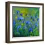 Blue Cornflowers 555160-Pol Ledent-Framed Art Print