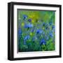 Blue Cornflowers 555160-Pol Ledent-Framed Art Print