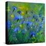 Blue Cornflowers 555160-Pol Ledent-Stretched Canvas