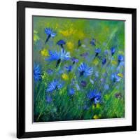 Blue Cornflowers 555160-Pol Ledent-Framed Art Print