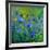 Blue Cornflowers 555160-Pol Ledent-Framed Art Print