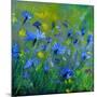 Blue Cornflowers 555160-Pol Ledent-Mounted Art Print