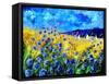 Blue cornflowers 68-Pol Ledent-Framed Stretched Canvas