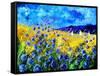 Blue cornflowers 68-Pol Ledent-Framed Stretched Canvas